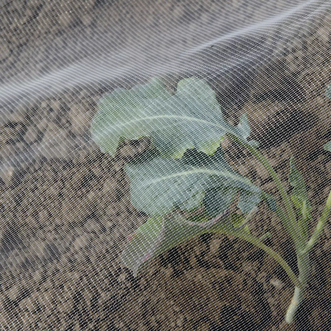 BIOCONTROL rovarvédő háló 2,2x10m fehér