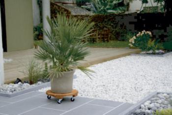 https://www.prenker.hu/media_ws/10002/2065/idx/intermas-flora-roll-lasure-lakkozott-kemenyfa-viragalatet-0-30-m-1.jpg