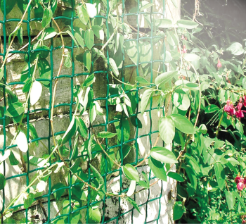 CLIMBANET műanyag kertirács 0,5*25m/tek zöld (K-50/45) 2.Kép