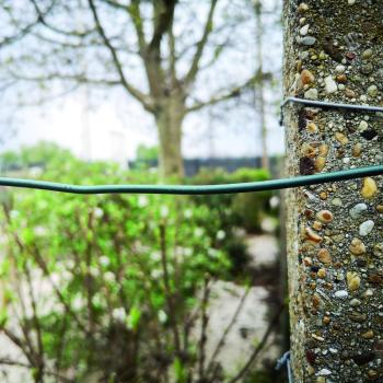 PLAST WIRE műanyag bevonatos galvanizált dróthuzal 1,6/2,4x25m, zöld 2.Kép