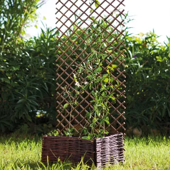 https://www.prenker.hu/media_ws/10010/2034/idx/willow-trellis-fuz-apacaracs.webp