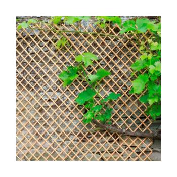 https://www.prenker.hu/media_ws/10010/2036/idx/wick-trellis-fuzvesszo-nyithato-apacaracs.jpg