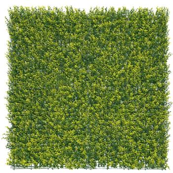 https://www.prenker.hu/media_ws/10010/2043/idx/vertical-buxus-zoldfal-buxus-levelekkel.jpg