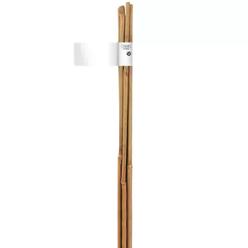 BAMBOO bambusz termesztő karó átm: 8-10mm* 90cm 4db/csomag 1.Kép