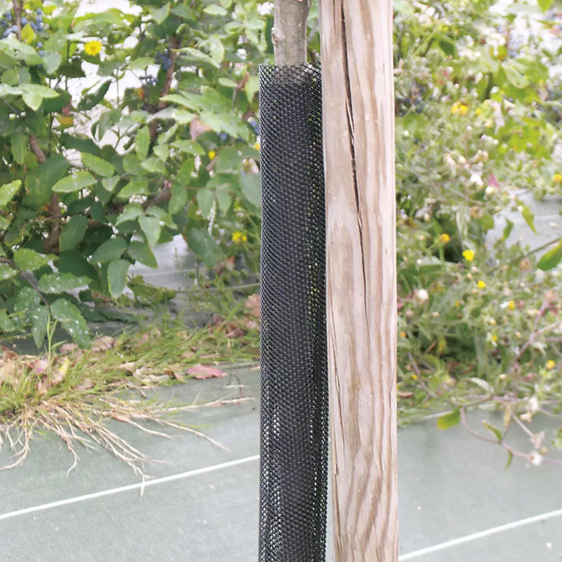 TREEX (Flexguard) 6 x 80 facsemetevédő rács 8DB/CSOMAG