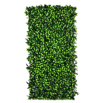 TRELLIBAMBU BUXUS bambusz apácarács díszlevelekkel 3.Kép