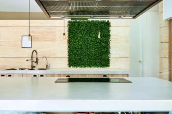 VERTICAL BUXUS zöldfal buxus levelekkel Kép