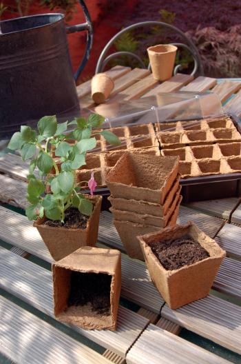 https://www.prenker.hu/media_ws/10014/2061/idx/growing-pots-tozegcserep-2.jpg