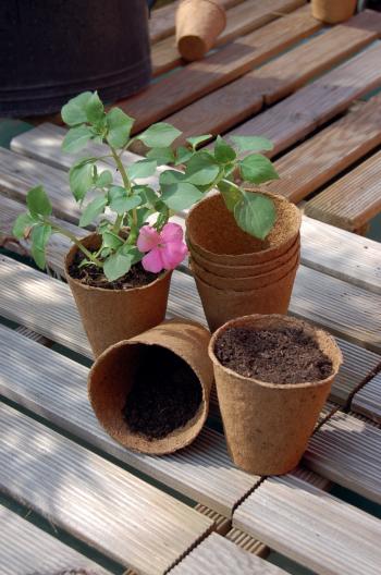https://www.prenker.hu/media_ws/10014/2062/idx/growing-pots-tozegcserep.jpg