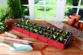 GROWING KIT mini üvegház szett 52x17 cm 3.Kép